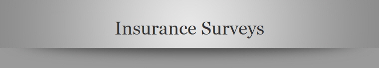 Insurance Surveys